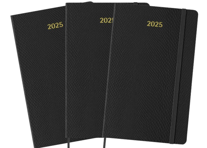 moleskine 2025